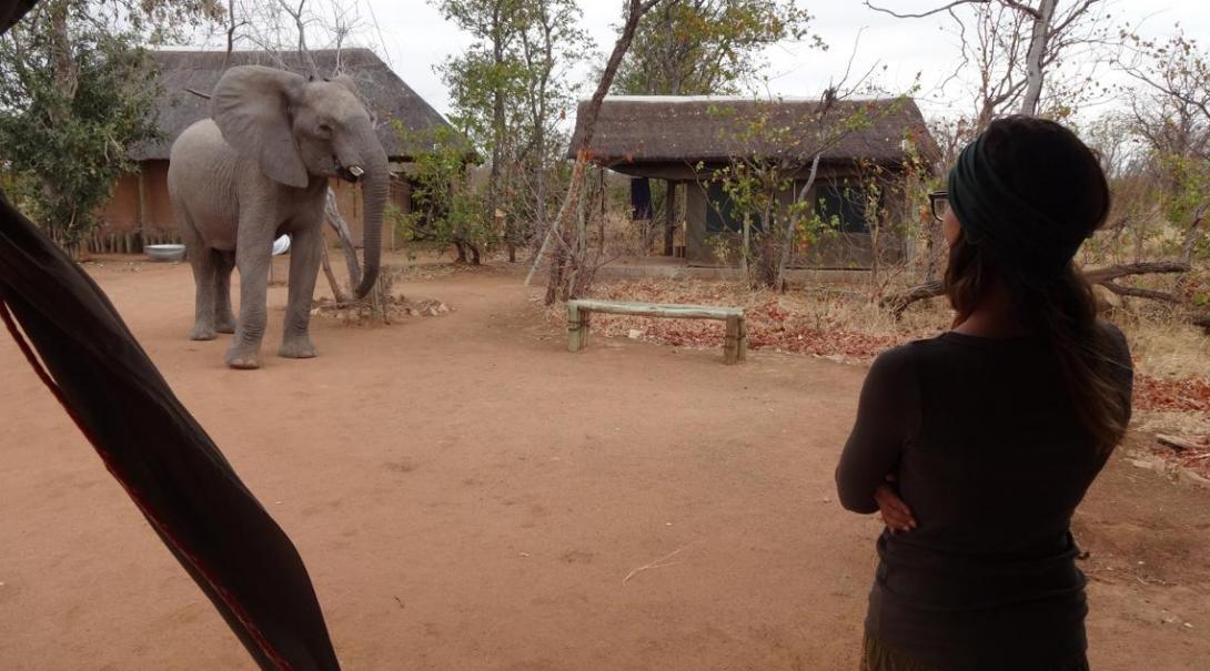 Caitlin S in Botswana Caitlin S in Botswana